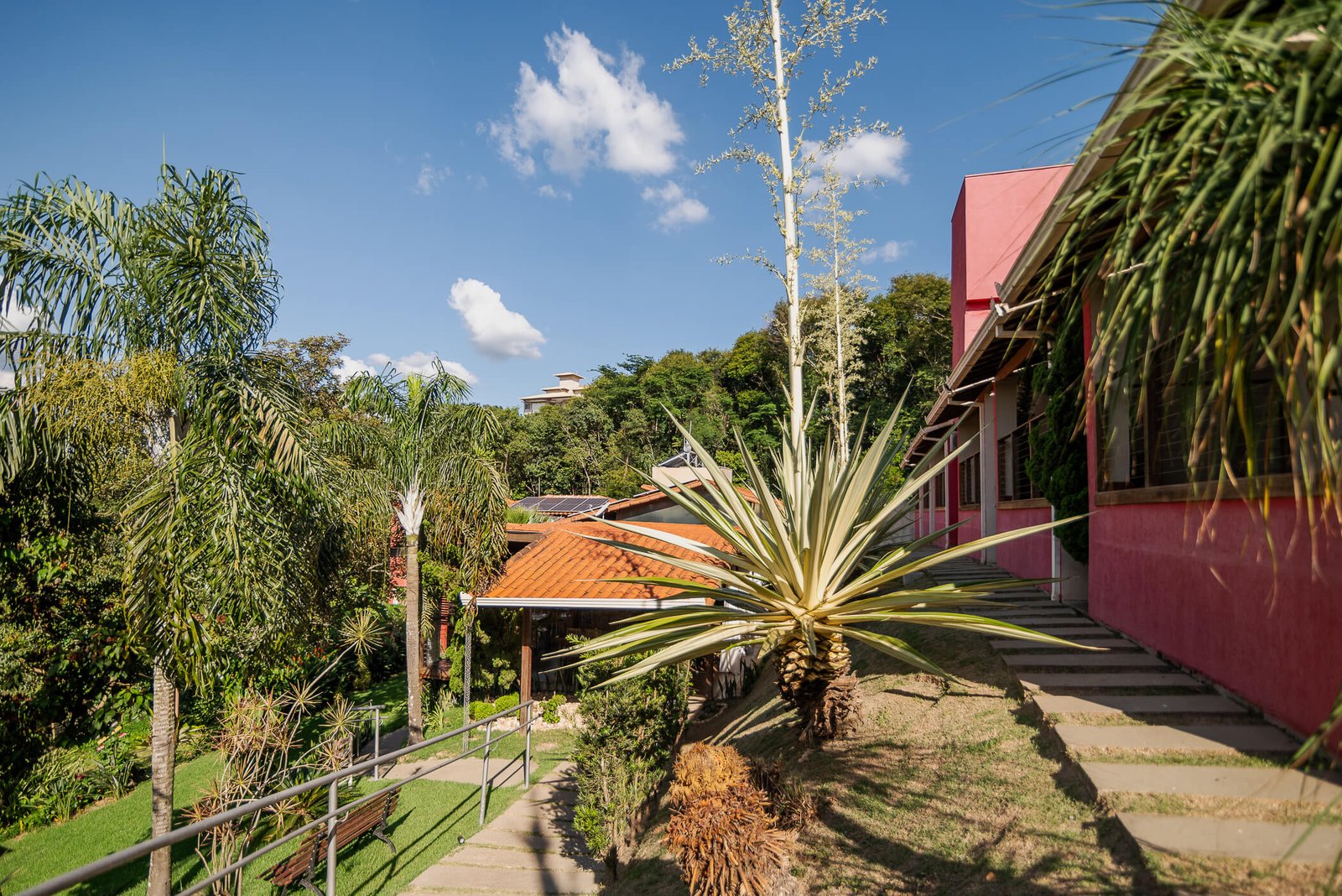 Jardim